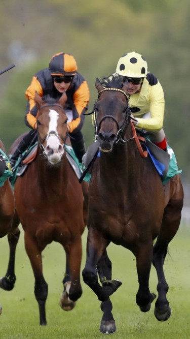 Horse racing
